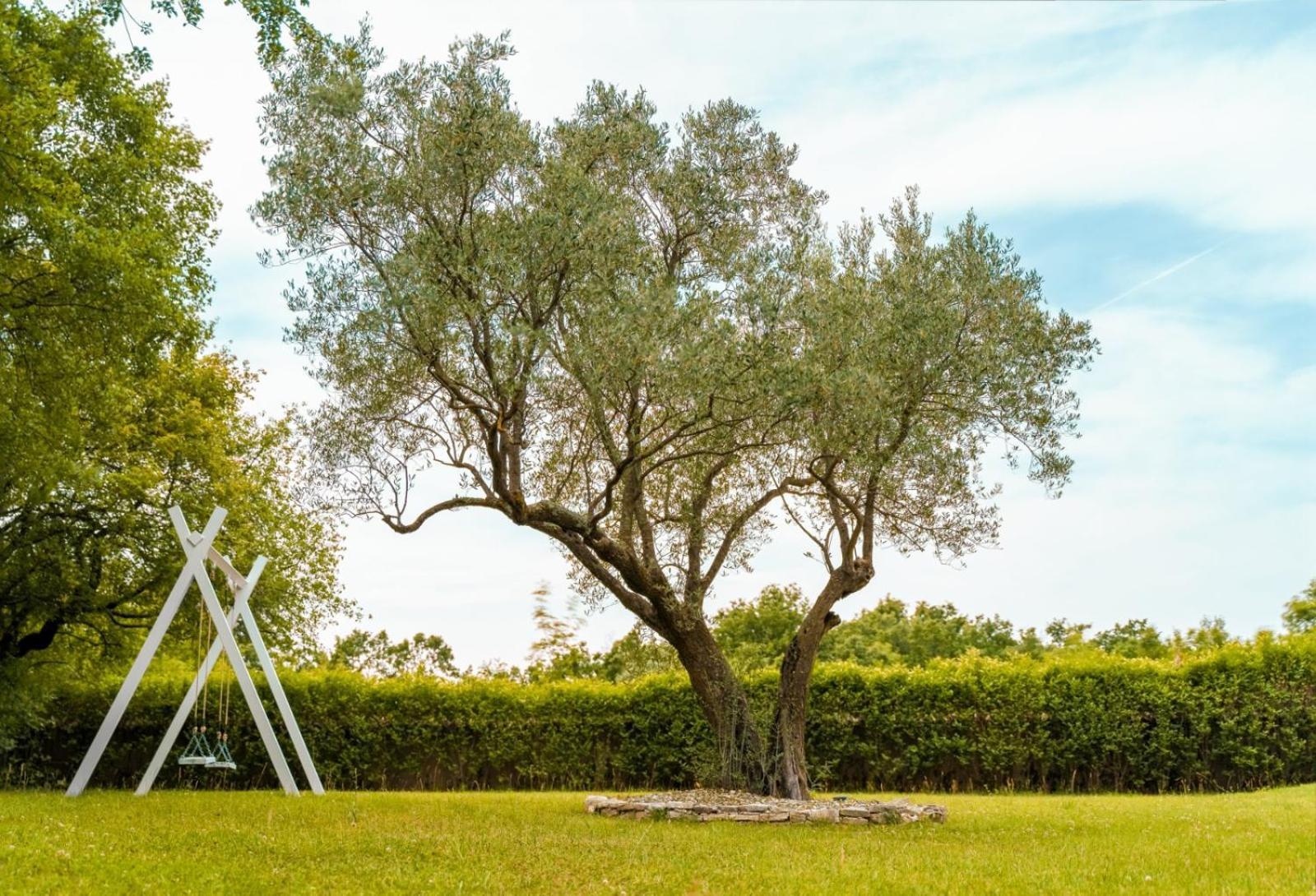 Juršići Luxury Villa In Istria - 9,000 Sqm Private Estate With Pool & Sauna, 15 Min To Sea, Near Fazana, 3 Bedrooms מראה חיצוני תמונה